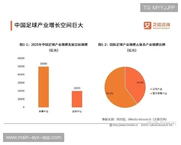 中国足球社区足球普及带动地方体育产业发展，中国足球产业的现状分析