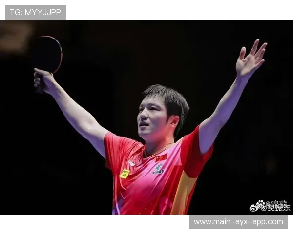 欧洲观察聚焦:乒乓德甲俱乐部商业困境的成因与出路,德国乒乓球注册人数 欧洲观察聚焦:乒乓德甲俱乐部商业困境的成因与出路,德国乒乓球注册人数